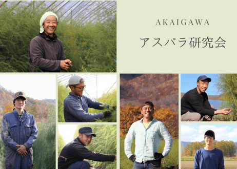 【グリーン2L～3L】朝採りアスパラ800g（400g×2袋）/ 赤井川村アスパラ研究会