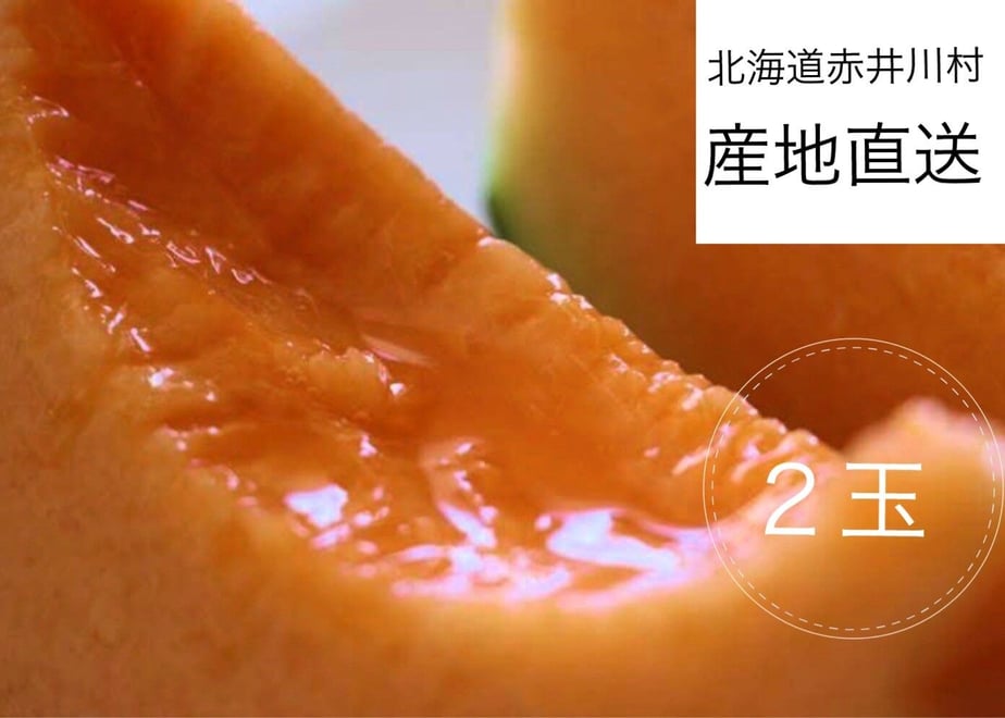 6253f5c83463e736ce319b49