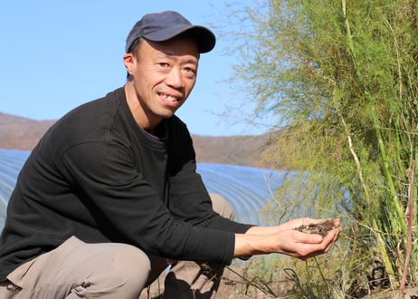 【グリーン2L～3L】朝採りアスパラ800g（400g×2袋）/ 赤井川村アスパラ研究会