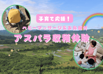 子育て応援！ベビーマッサージ＆アスパラ収穫体験（お土産付）