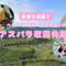 子育て応援!ベビーマッサージ&アスパラ収穫体験(お土産付)