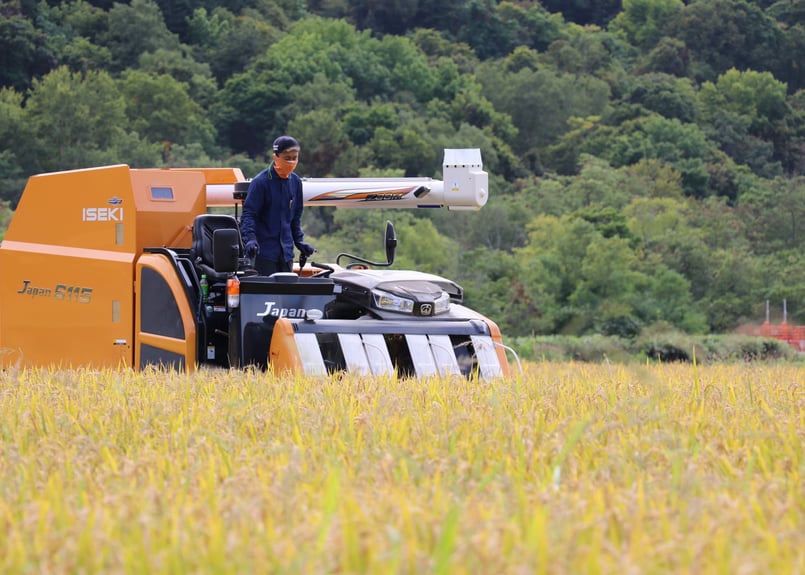 精米10㎏】白さと艶のゆきさやか | かしづく