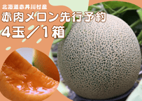 2026年先行予約【４～５玉】甘くてジューシーなメロン