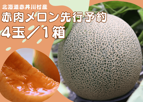 2026年先行予約【４～５玉】甘くてジューシーなメロン