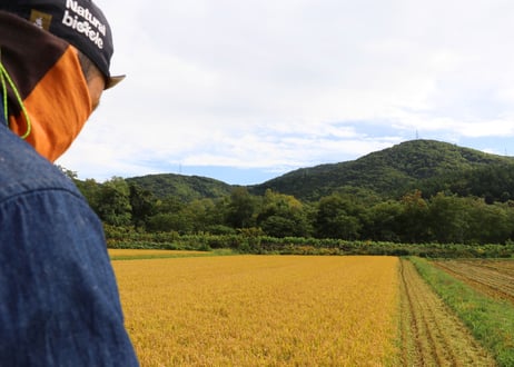 【精米10㎏】白さと艶のゆきさやか