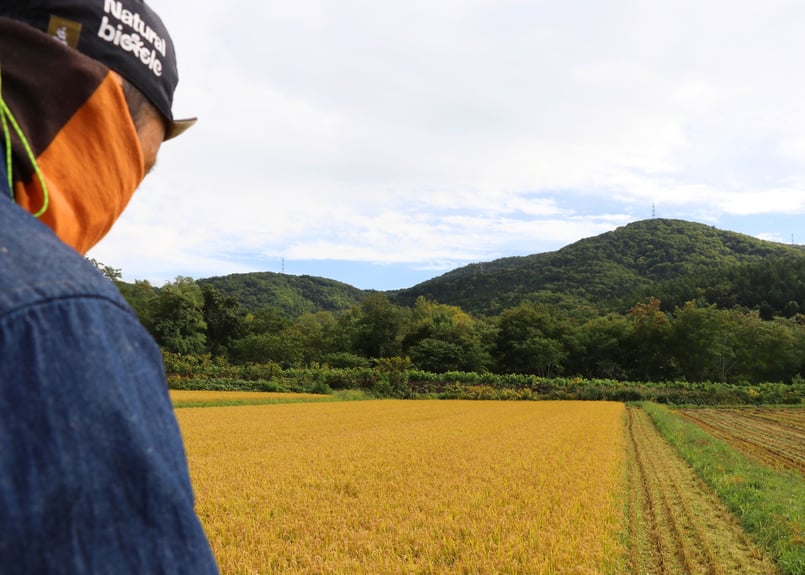 精米10㎏】白さと艶のゆきさやか | かしづく