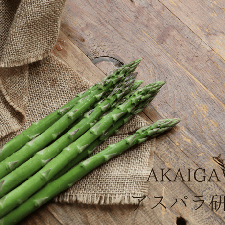 【グリーンML】朝採りアスパラ800g（400g×2袋）/ 赤井川村アスパラ研究会