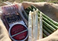 ①【春】村からの贈りもの／有機アスパラ