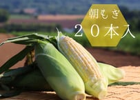 2025年先行予約【20本】粒がしっかりなゆめのコーン