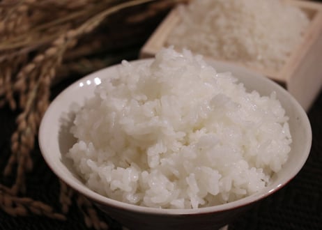 【精米10㎏】白さと艶のゆきさやか