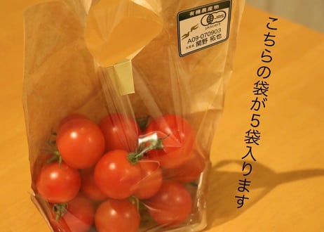 有機栽培【からだ喜ぶ！甘いトマト】５袋入り／２㎏