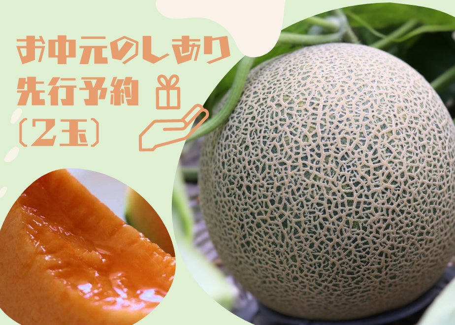 6253f5c83463e736ce319b49