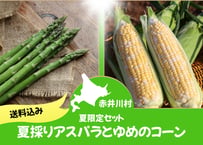 2025年先行予約【夏限定セット】夏採りアスパラとゆめのコーン