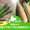 2025年先行予約【夏限定セット】夏採りアスパラとゆめのコーン