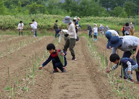 2025年【アスパラ収穫体験会】収穫体験・お土産付き