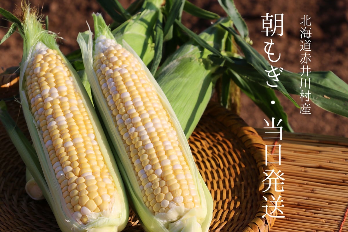 10本】粒がしっかりなゆめのコーン | かしづく