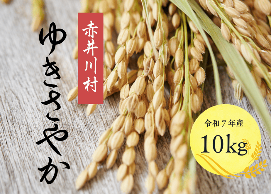 6932d2cd7570b1a1c109ac86