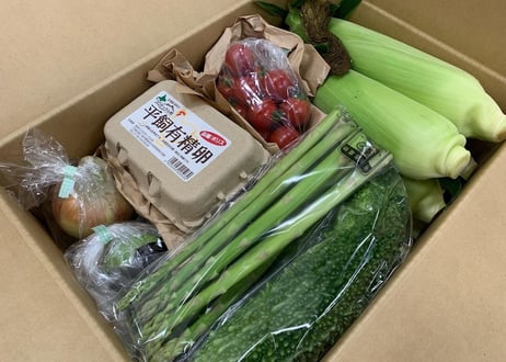 2026年先行予約【村の野菜BOX】旬の野菜詰め合わせ