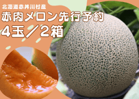 2026年先行予約【４～５玉・２箱セット】甘くてジューシーなメロン