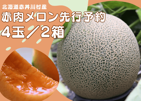 2026年先行予約【４～５玉・２箱セット】甘くてジューシーなメロン