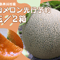2026年先行予約【４～５玉・２箱セット】甘くてジューシーなメロン
