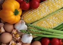 2025年先行予約【村の野菜BOX】旬の野菜詰め合わせ