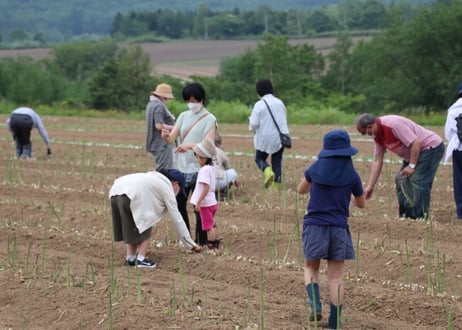 2025年【アスパラ収穫体験会】収穫体験・お土産付き