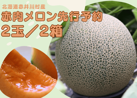 2026年先行予約【２玉・２箱セット】甘くてジューシーなメロン