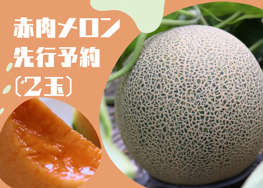 6098d8cbda019c1e000707c9