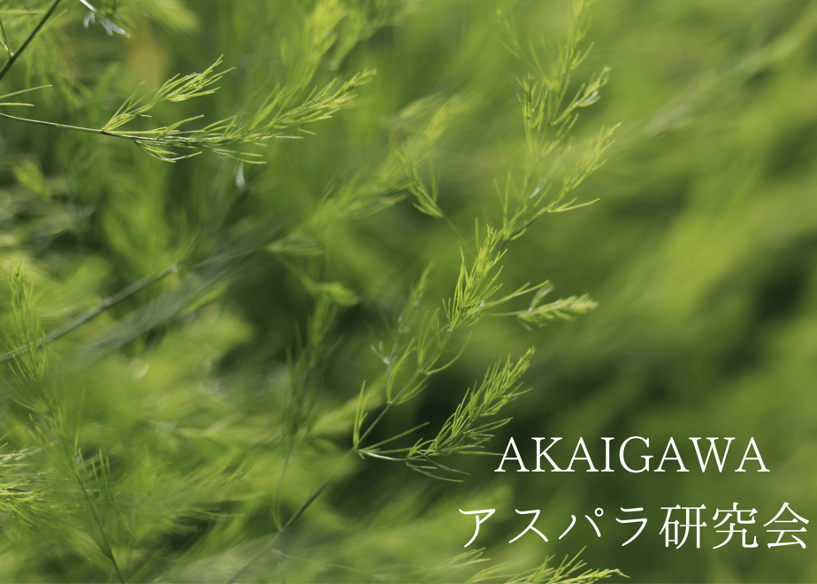 6615f8892dae1804c5159209