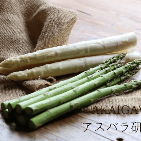 【2色ホワイト＆グリーン】朝採りアスパラ800g（400g×2袋）/ 赤井川村アスパラ研究会