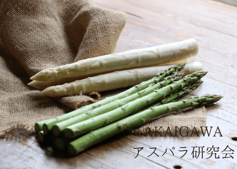 【グリーン2L～3L】朝採りアスパラ800g（400g×2袋）/ 赤井川村アスパラ研究会