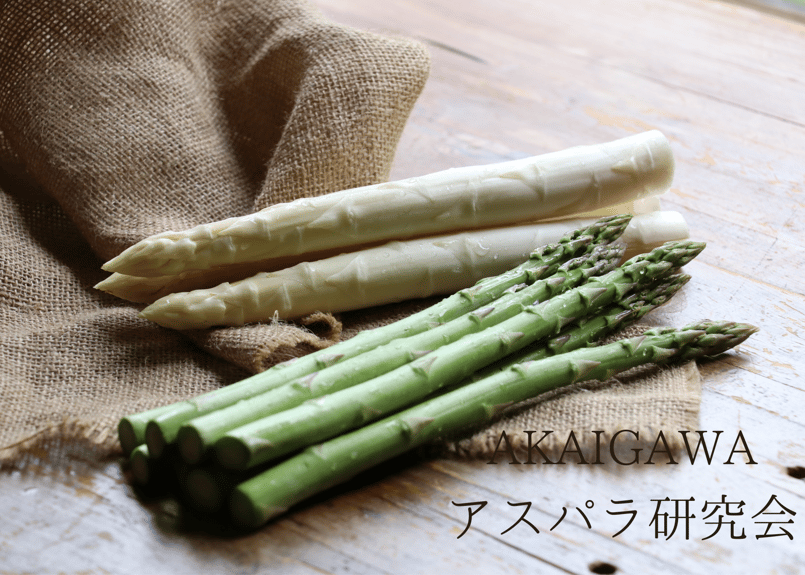 アスパラ様専用 グリーン2L~3L】朝採りアスパラ800g(400g×2袋 アスパラ様専用 グリーン2L~3L】朝採りアスパラ800g(400g×2袋