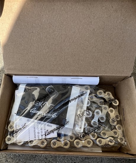 CampagnoloEKAR 1X13