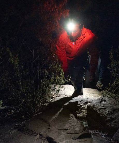 BANDICOOT HEADLAMP　250