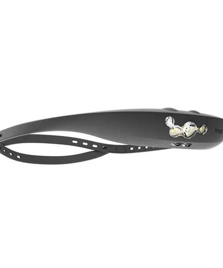 BANDICOOT HEADLAMP　250
