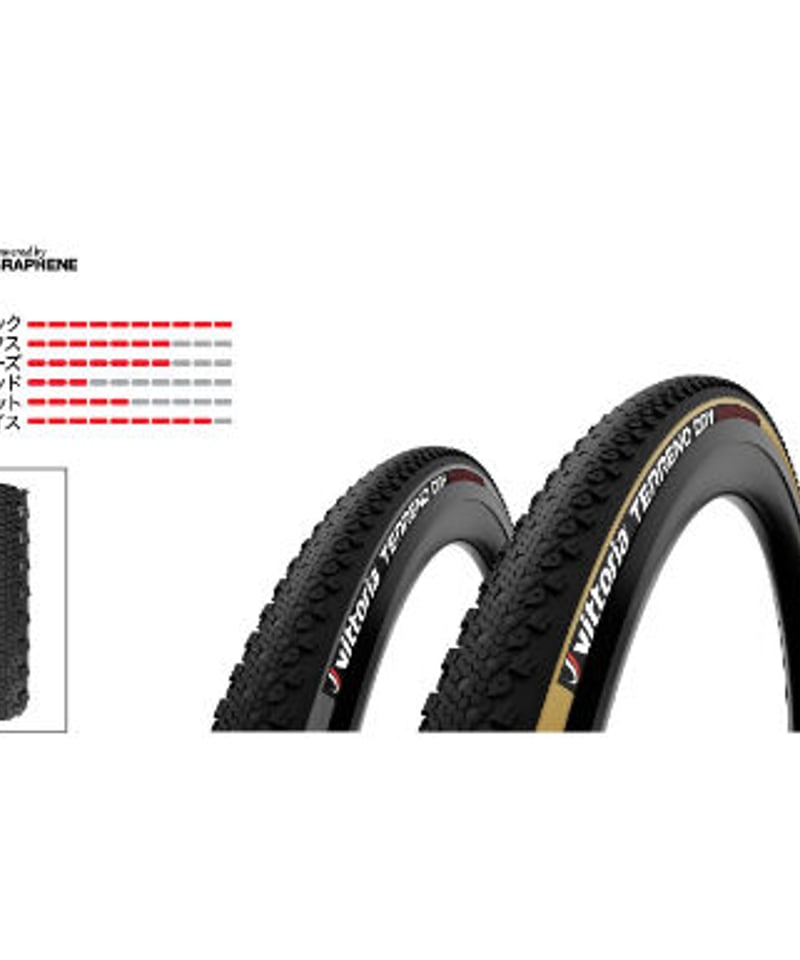 vittoria TERRENO DRY | cycleminoru STORE