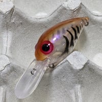 DCB ロックウォーリアー 2ndモデル （フックなし）：スジエビ