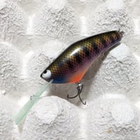 ワイルドバイト 【ヨナシャッド】：ブルーギル
