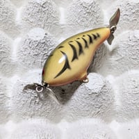 デイビスカスタムベイツ(DCB)：ブラックマーケットバズ  ナチュラルグリーンクロウ