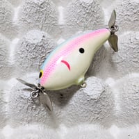 デイビスカスタムベイツ(DCB)：ブラックマーケットバズ  コットンキャンディー