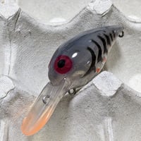 デイビスカスタムベイツ(DCB)：ブラックマーケットバルサXXL