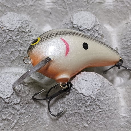 デイビスカスタムベイツ(DCB)：ブラックマーケットバルサ　ミディアム　ミステイクシャッド