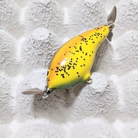 デイビスカスタムベイツ(DCB)：ブラックマーケットバズ  ブルブリーム