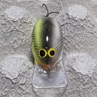 デイビスカスタムベイツ(DCB)：ブラックマーケットバルサ　スモール 　ミステイクシャッド