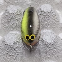 デイビスカスタムベイツ(DCB)：ブラックマーケットバルサ　ミディアム　ミステイクシャッド