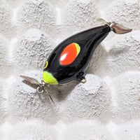 デイビスカスタムベイツ(DCB)：ブラックマーケットバズ  ブラックバード