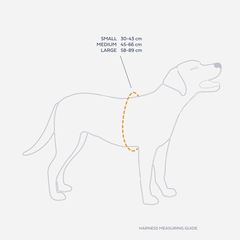 BREIZH ドッグ レザーハーネス （胴輪） （ティファニーブルー