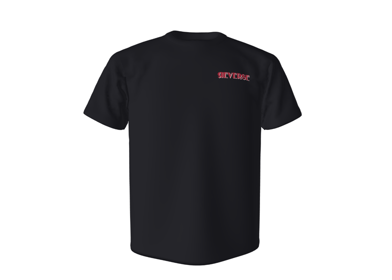 2025年 新色！リバース スタッフTシャツ | gachizon