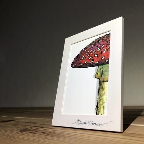 ベニテングダケ | STORES